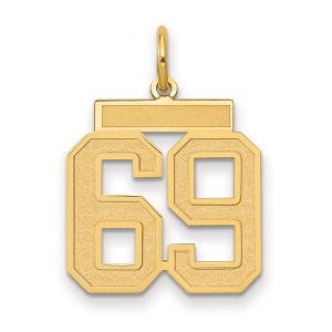 Black Bow Jewelry 14k Yellow Gold, Jersey Collection, Medium Number 69 Pendant - 1 of 4
