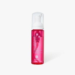 Andalou Naturals 1000 Roses Gentle Foam Face Cleanser - 5.5 fl oz - 1 of 4