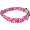 Country Brook Petz Premium Dog Collar - Spring Collection - 3 of 4
