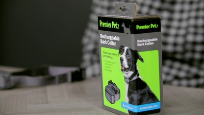 Premier Pet Rechargeable Bark Adjustable Collar - Black : Target