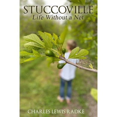 Stuccoville - by  Charles Lewis Radke (Paperback)