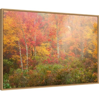 Autumn Forest Landscape Canvas Wall Art in Warm Hues