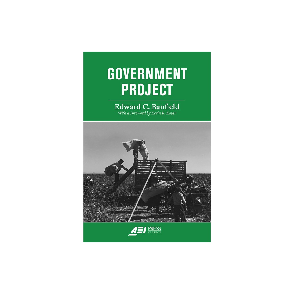 Government Project - by Edward C Banfield (Paperback)