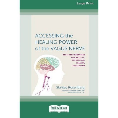 Accessing the Healing Power of the Vagus Nerve - by  Stanley Rosenberg (Paperback)