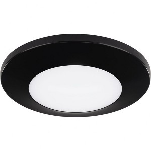 Progress Lighting, Emblem Collection, 1-Light Surface Mount, Antique Bronze, Polycarbonate Shade - 1 of 2