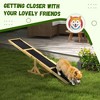 BABYYER Wooden Dog Agility Seesaw, Dog Backyard Run Game Toy Durable Outdoor Pet Activity Equipment for Exercise Training and Exercise - 3 of 4