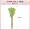 Unique Bargains Decorative Natural Dried Floral Bunny Tail Artificial Plants 120 Pcs - 2 of 4