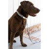 Country Brook Petz Premium Urban Camo Dog Collar - 4 of 4