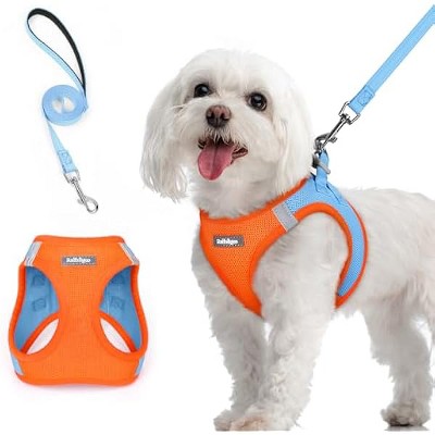 rabbitgoo Dog Harness Small Sized and Leash Set, Breathable Mesh Pet Harness, Reflective for Safe Easy Walking, Blue & Orange M