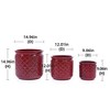 AZL1 Life Concept Planters 3-Piece Ceramic Planter Set with Drainage Holes for Indoor and Outdoor Plants, Red, 15"*15"*15" - 2 of 4
