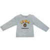 NCAA Iowa Hawkeyes Toddler Boys' T-Shirt - 3 of 3