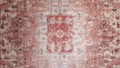Priyah 4' x 6' Gray and Pink Synthetic Area Rug