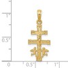 Black Bow Jewelry 14k Yellow Gold Small Caravaca Crucifix Cross Pendant, 11 x 26mm - 4 of 4