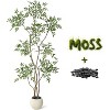 5FT/6FT/7FT Artificial Nandina Tree in Grey Ceramic Planter - Perfect for Home, Office, or Living Room Decor - 2 of 4