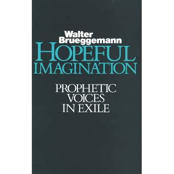 Hopeful Imagination - by  Walter Brueggemann (Paperback)