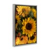 Stupell Industries Bunches of Garden Sunflowers Floating Frame Canvas Art - 2 of 4