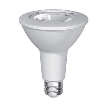 GE PAR 30 Long Neck LED Light Bulb White