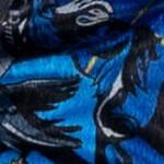 ravenclaw