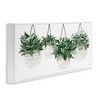 Stupell Industries Hanging Planters House Plants, 30" x 13" - 3 of 4