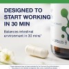 Metagenics UltraFlora Triplebiotic with Akkermansia, Gut Health & Barrier Support, Prebiotic, Probiotic & Postbiotic, 30 Capsules - 4 of 4