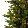 7ft. Fir Artificial Christmas Tree with 550 Clear Lights & 3703 Branches – Majestic Holiday X-Mas Display - 3 of 4