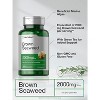 Horbaach Brown Seaweed Extract Capsules 2000mg | 200 Pills - 3 of 4