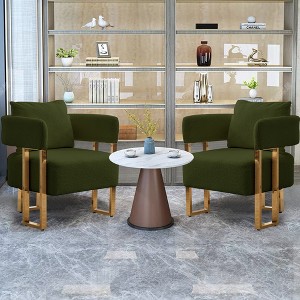 Modern Decorative 2PC Teddy Fleece Upholstered Side Chairs with Gold Metal Legs, Ergonomic Cushion, No Wheels, Suitable for Living Room - 1 of 4