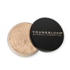 Youngblood Loose Mineral Foundation, Cool Beige, 10 g / 0.35 oz - 4 of 4
