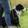 Unique Bargains Shock Absorbing Dog Leash with Padded Handles 1 Pc - 4 of 4