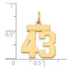 Black Bow Jewelry 14k Yellow Gold, Athletic Collection, Small Polished Number 43 Pendant - 3 of 4