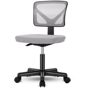 Lyngins Low-Back Ergonomic Mesh Office Chair, 360° Swivel Armless Desk Chair with Adjustable Height & Removable Cushion, Swivel Rolling Computer Chair - 1 of 4