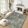 Vintage Machine Washable Rug for Living Room Non-Slip Non-Shedding Distressed Floral Printed Indoor Carpet - 2 of 4