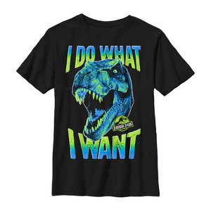 Boy's Jurassic Park T. Rex Do What I Want T-Shirt - 1 of 4