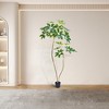 Acekool Artificial Umbrella Tree, Faux Pachira Money Tree with Realistic Leaves and Natural Trunk, Tall Indoor Plant for Home, Office, Living Room - 4 of 4