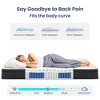 Itopfox Full Size Memory Foam Hybrid Mattress with Pocket Springs for Motion Isolation, Edge Support & Pressure Relief, CertiPUR-US Certified - 4 of 4