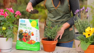 Back to the Roots 3pk Organic Kitchen Herb Garden Seed Kits: Mint