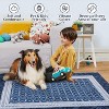 Acekool Washable Area Rug, Solid Bordered Non Slip Low Pile Carpet for Living Room, Bedroom, Kids, Dining - 4 of 4
