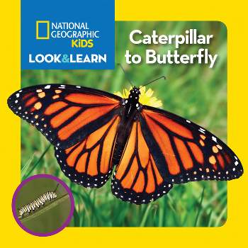 National Geographic Kids Look and Learn: Caterpillar to Butterfly - (Look & Learn) (Board Book)