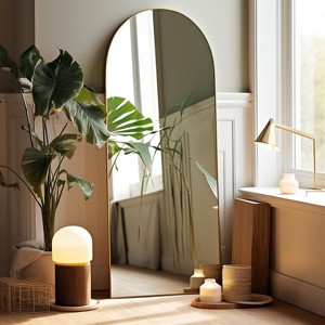 Damerin Freestanding Anti-rust 63x20 inch Metal Arch Full Length Mirror - 1 of 4