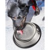 Juvale Stainless Steel Dog Bowls - Set of 2 Large Pet Food and Water Dish Bowls, Ideal for Large Dogs - Silver, 10 In Diameter - 2 of 4