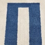 navy/ivory