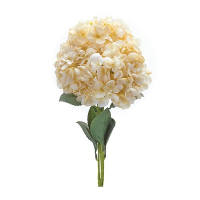 Melrose Hydrangea Bush (Set of 2)