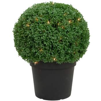 Northlight 20" Pre-Lit Artificial Boxwood Ball Topiary in Round Pot, Clear Lights