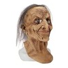 Ghoulish Productions Hagatha Witch Adult Costume Mask - 2 of 3