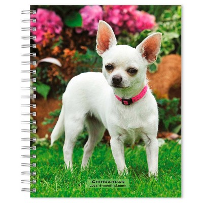 Browntrout 23-2024 Weekly/Monthly Planner 7.5x7.125 Cat Lovers