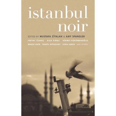 Istanbul Noir - (Akashic Noir) by  Mustafa Ziyalan & Amy Spangler (Paperback)