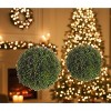 Boxwood Sedum Orb Set Plastic – 4" Greenery Half Orbs (Set of 8) by Melrose - 3 of 3