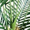 51''/59''/71'' Artificial Palm Plants - Realistic Faux Greenery with Adjustable Branches - Potted Indoor/Outdoor Artificial Plant for Home Decor - 4 of 4