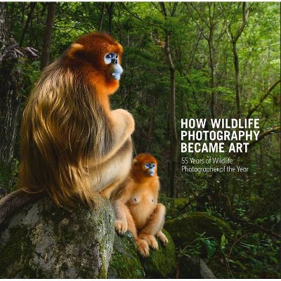 How Wildlife Photography Became Art - (Wildlife Photographer of the Year) by  Rosamund Kidman Cox (Hardcover)