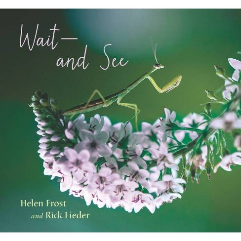 Wait and See - by Helen Frost (Hardcover)